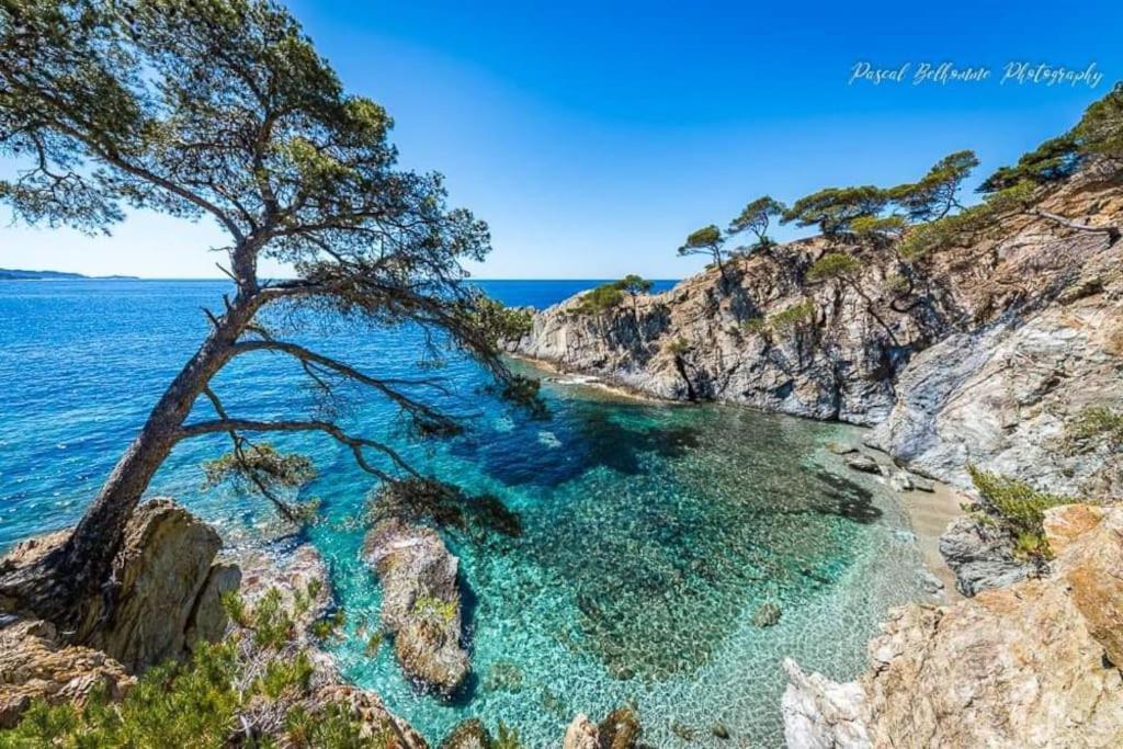 T2: 45m2 :4 Places :independant Dans * Hyeres