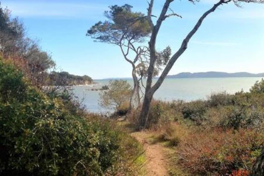 T2: 45m2 :4 Places :independant Dans Apartment Hyeres