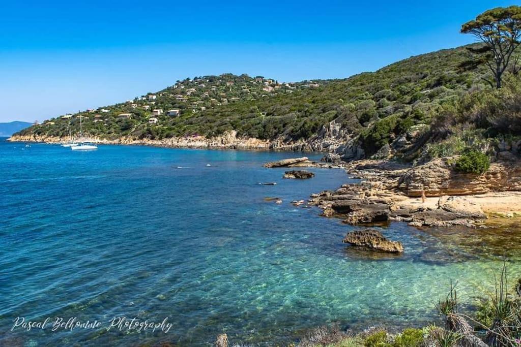 T2: 45m2 :4 Places :independant Dans Apartment Hyeres